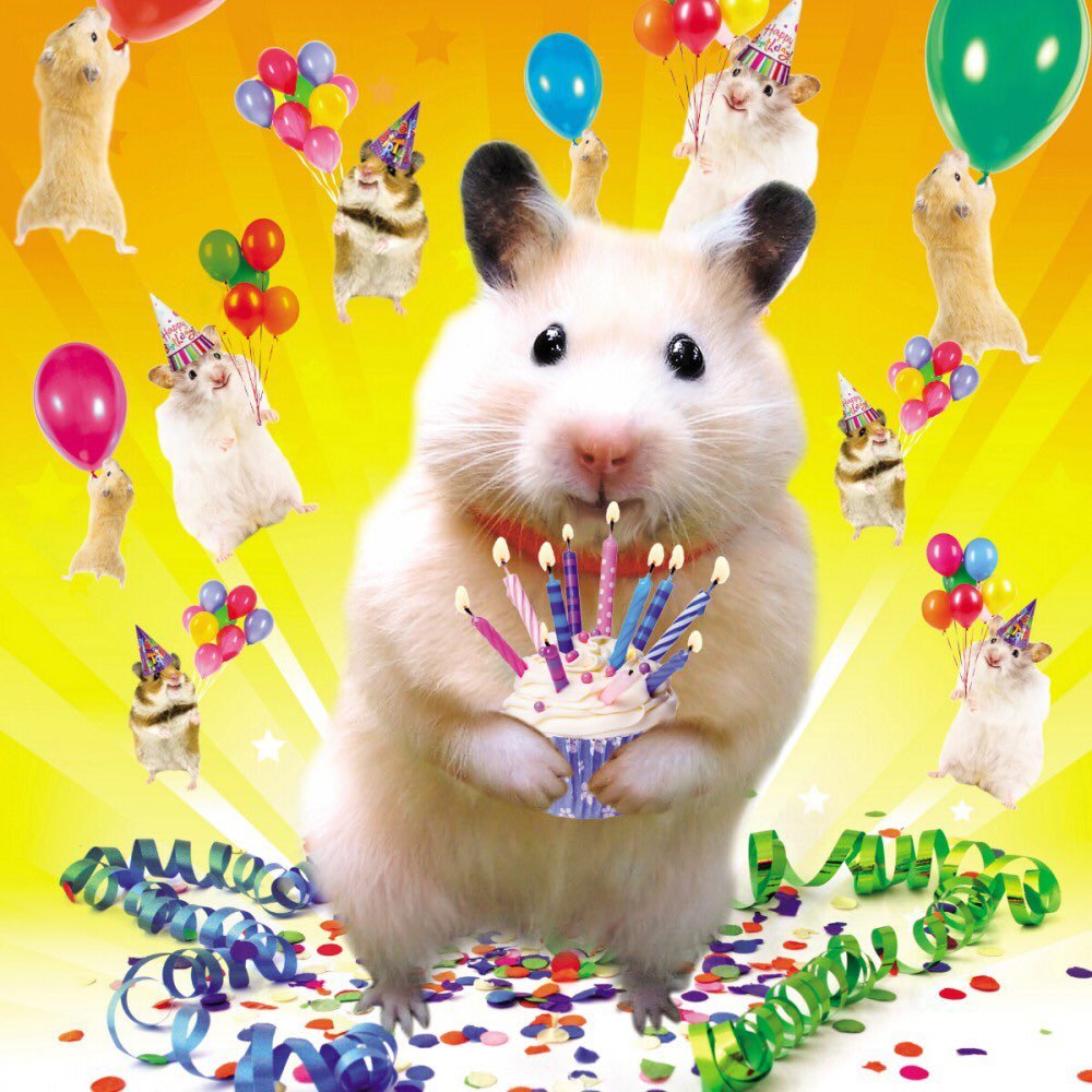 с днем рождения картинки с мышами