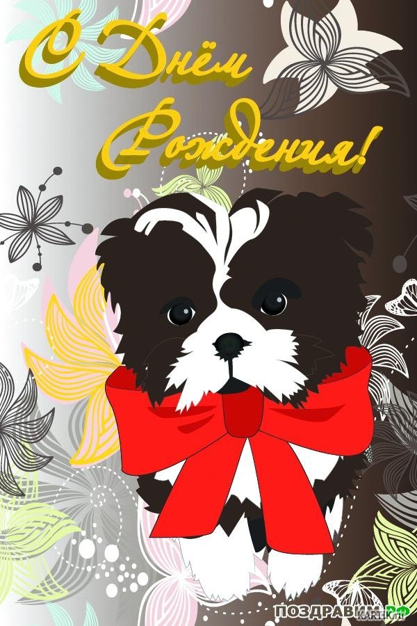 С днем рождения картинки с собачкой. Открытка "собаки". Поздравительные открытки с собачками. Открытка с днём рождения с собачкой. Поздравления с днём рождения собаке открытки.