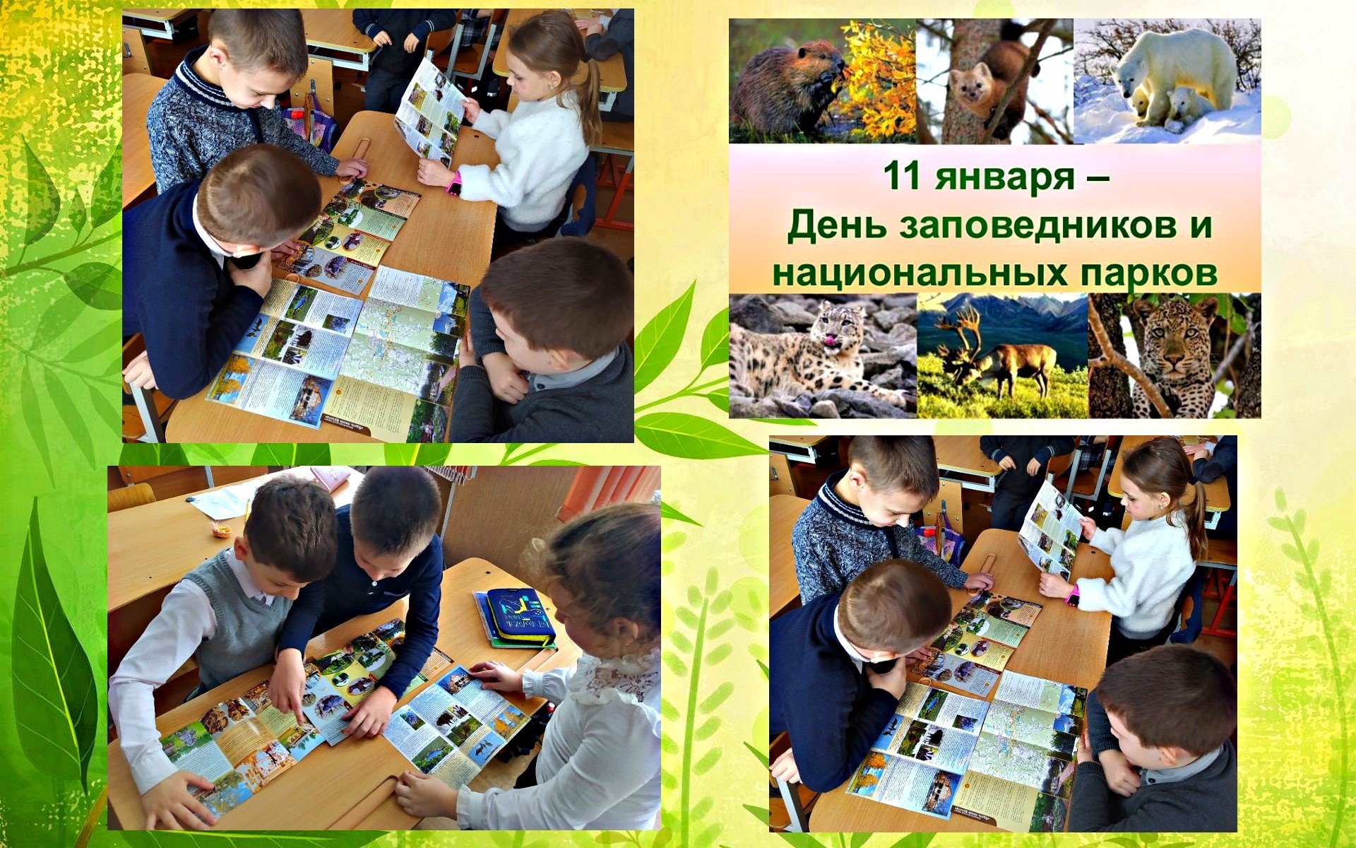 11 января всероссийский день заповедников и национальных парков рисунок