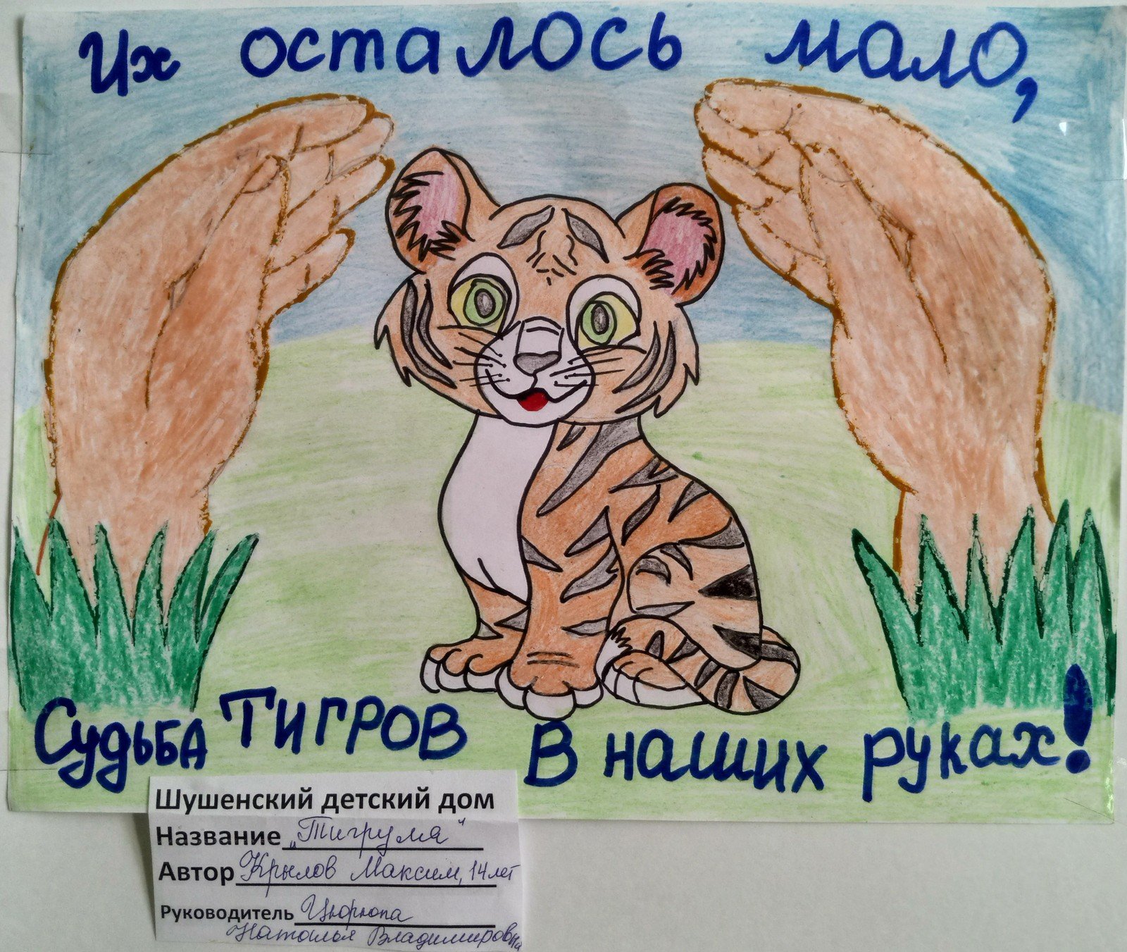 Плакат сохраним Амурского тигра