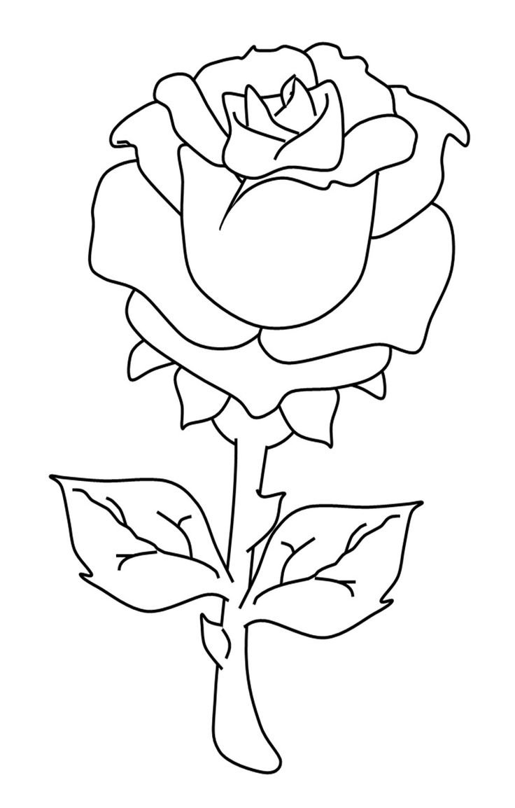 Роза раскраска для малышей