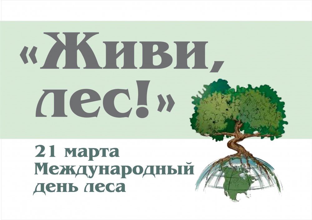 День леса в мире. Международный день леса. Междуанродныйдень лесов. Международныйдерь лесов.