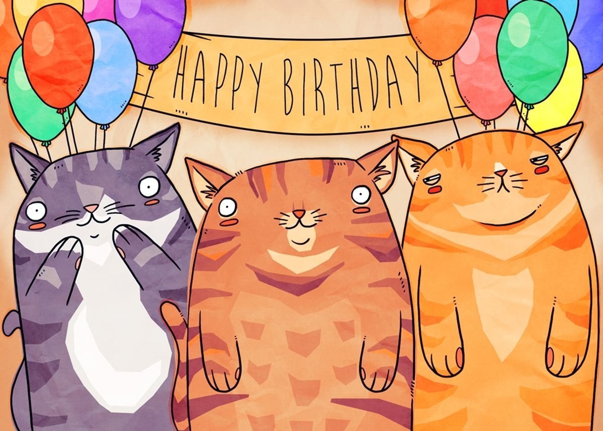 Котики на день рождения