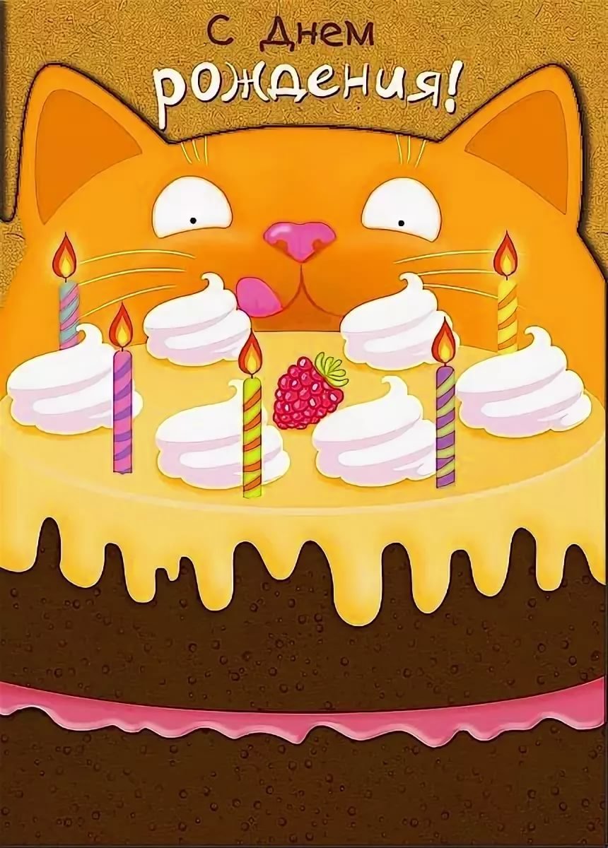 поздравление коту с днем рождения картинки