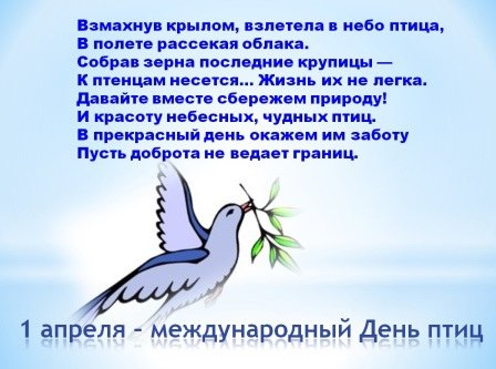 День птиц стихи