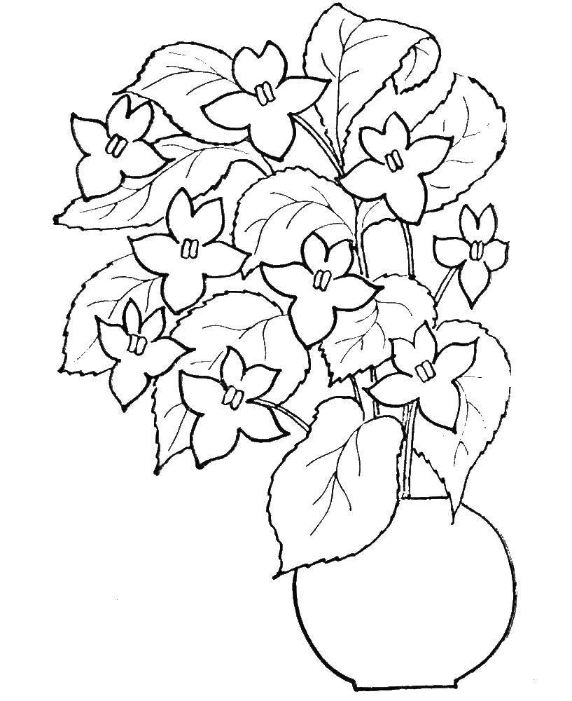 Шаблон рисунка цветы для мамы