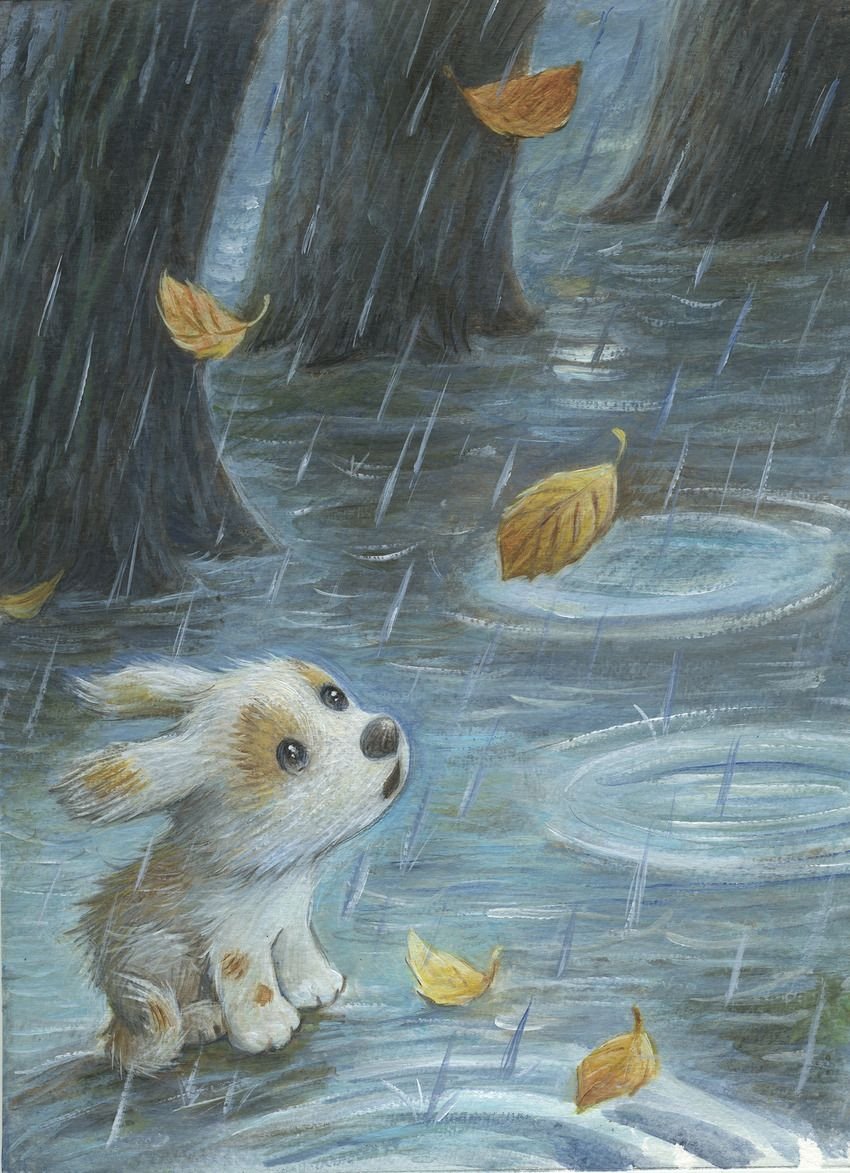 Брошенный щенок под дождем