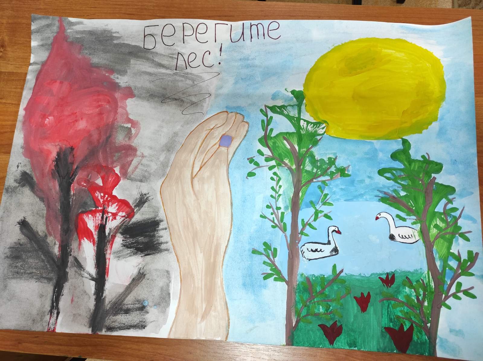 Международный день леса рисунки детей
