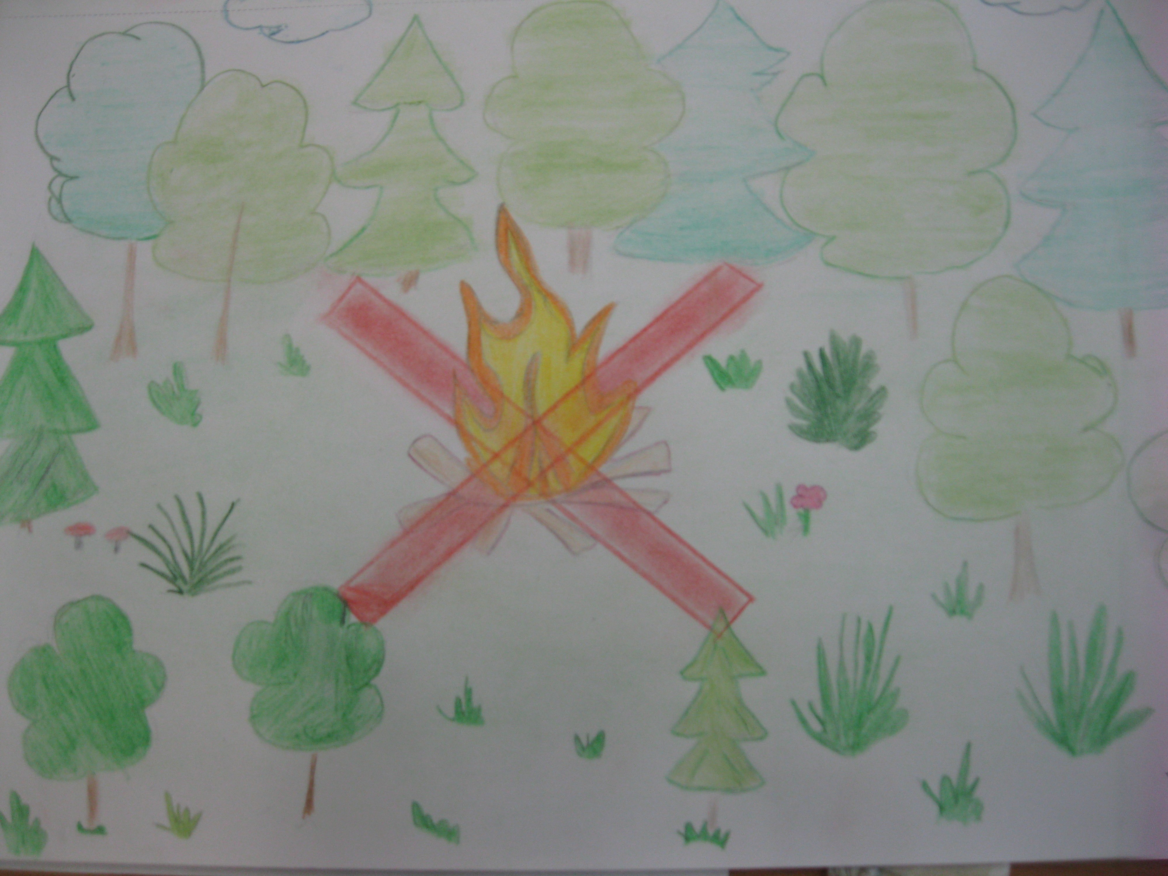 Рисунок ко Дню защиты леса