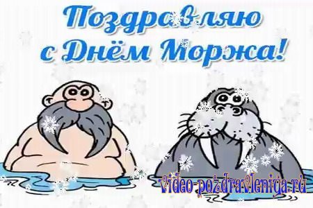 Флаг моржей
