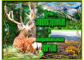 Конкурс марш парков 2021