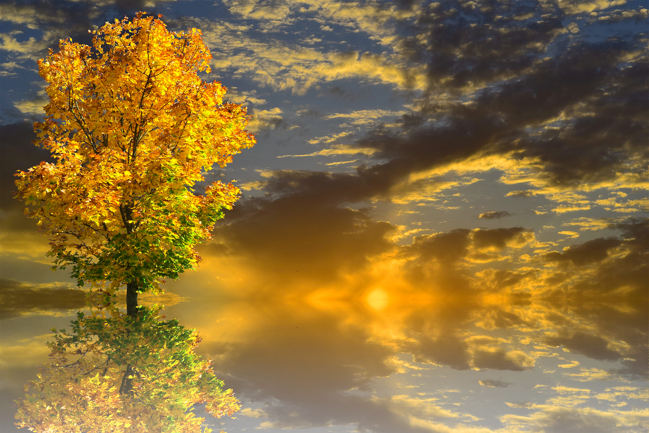 Осеннее равноденствие солнце. Осеннее равноденствие фото. Равноденствие осень. Осеннее равноденствие осень.