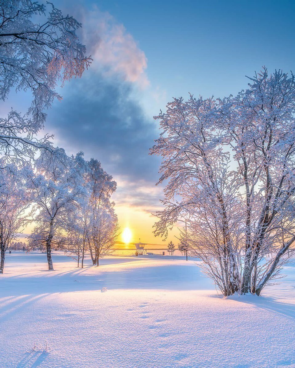фото солнечной зимы