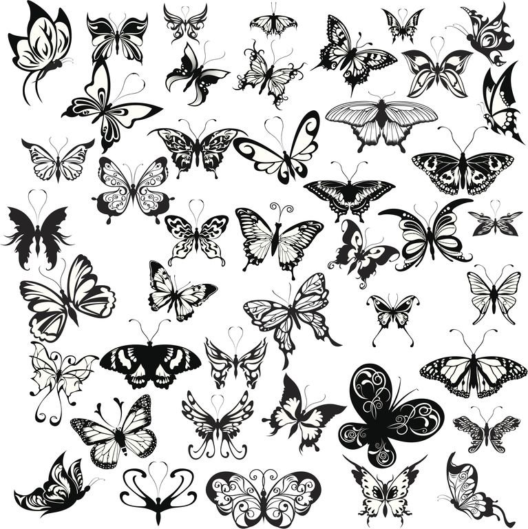 Распечатки бабочек черно. Бабочка тату эскиз. Бабочка тату черно белая. Бабочка тату черно белая маленькая. Тату бабочки маленькие черные.