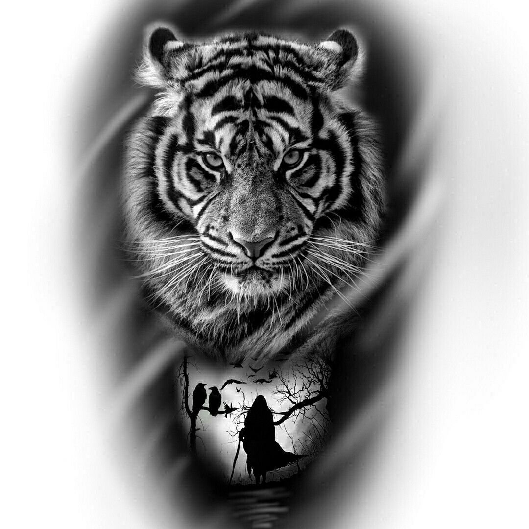 Тигр с весами картинка