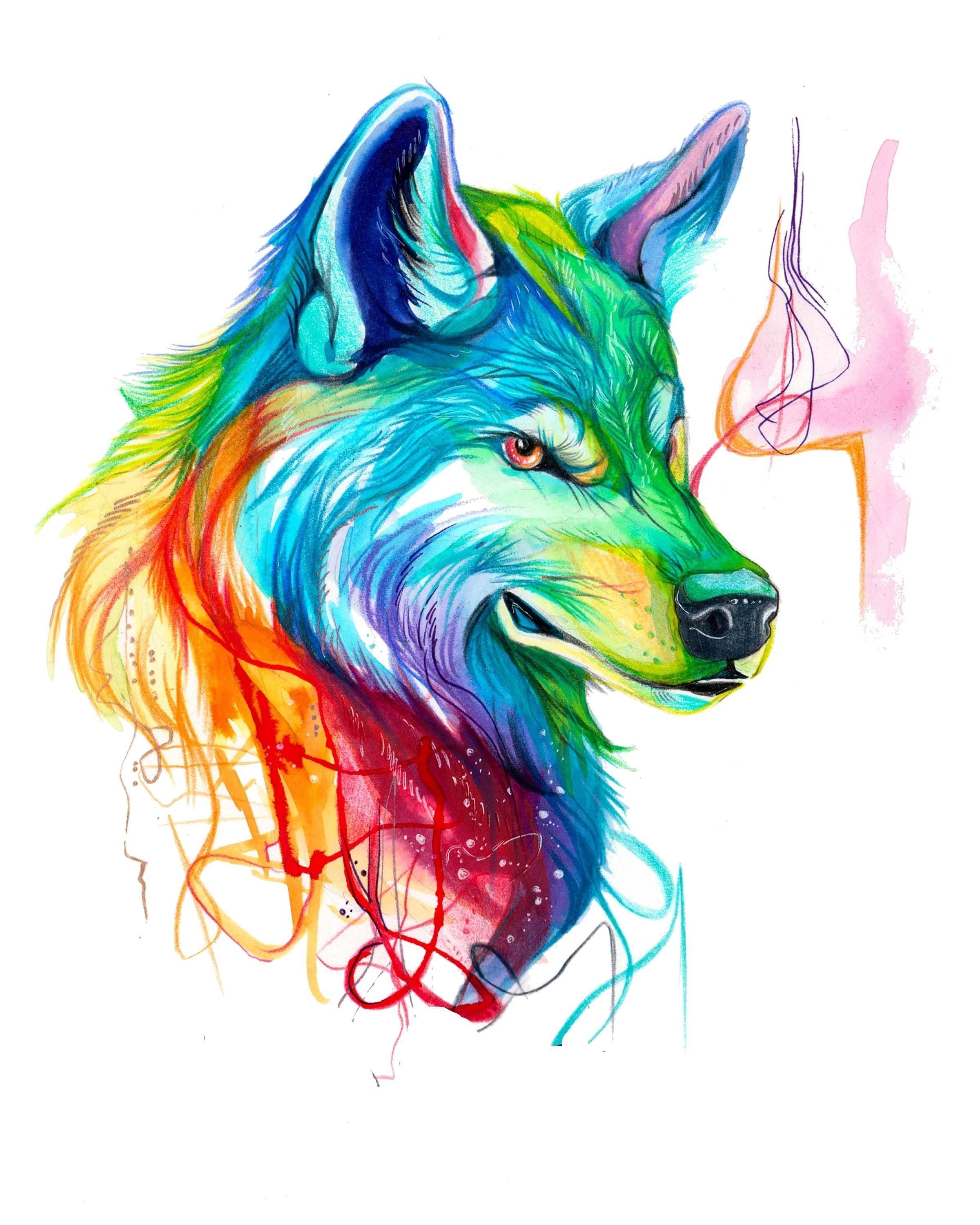 Цветные картинки волка. Волки Кэти Липскомб. Волк арт. Рисунки цветные. Волк рисунок.