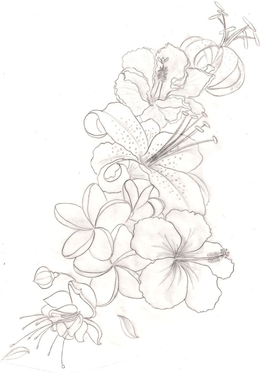 Прорисовка карандашом цветов