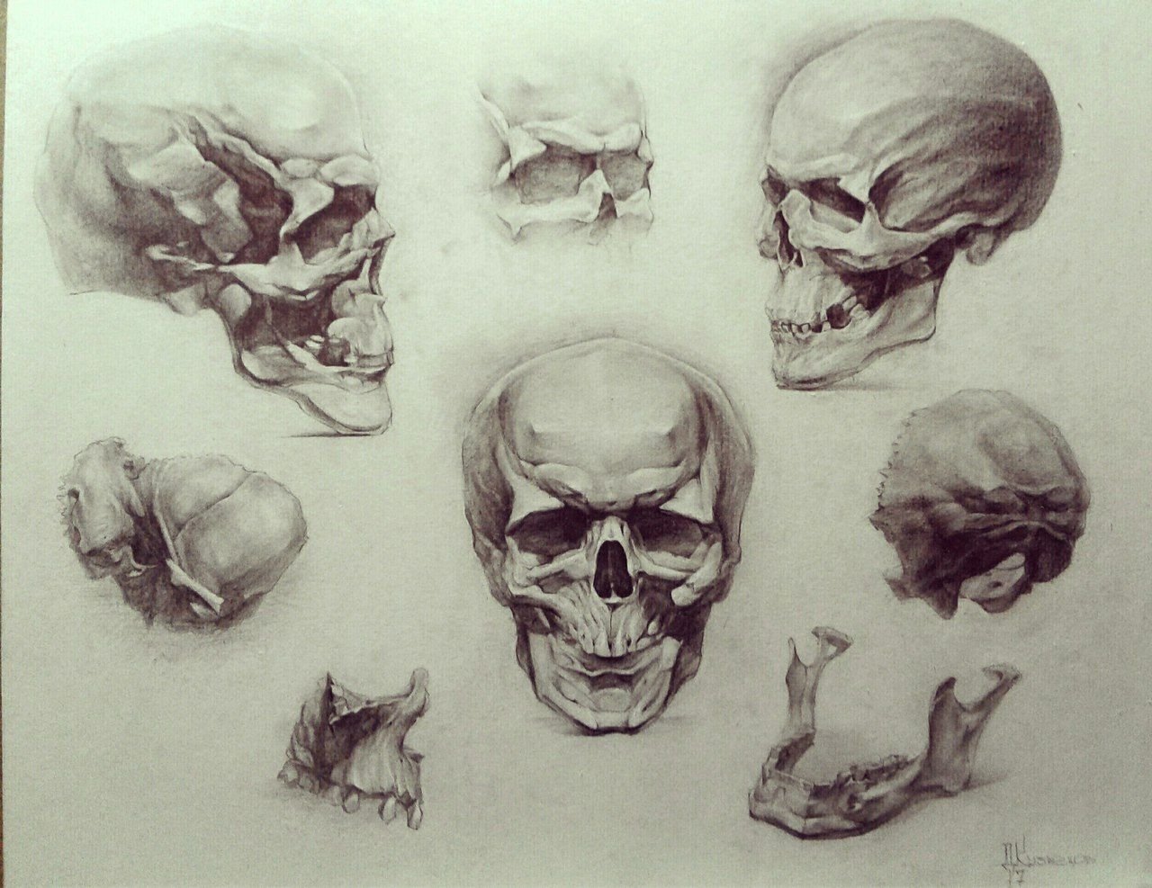 Академическое рисование черепа