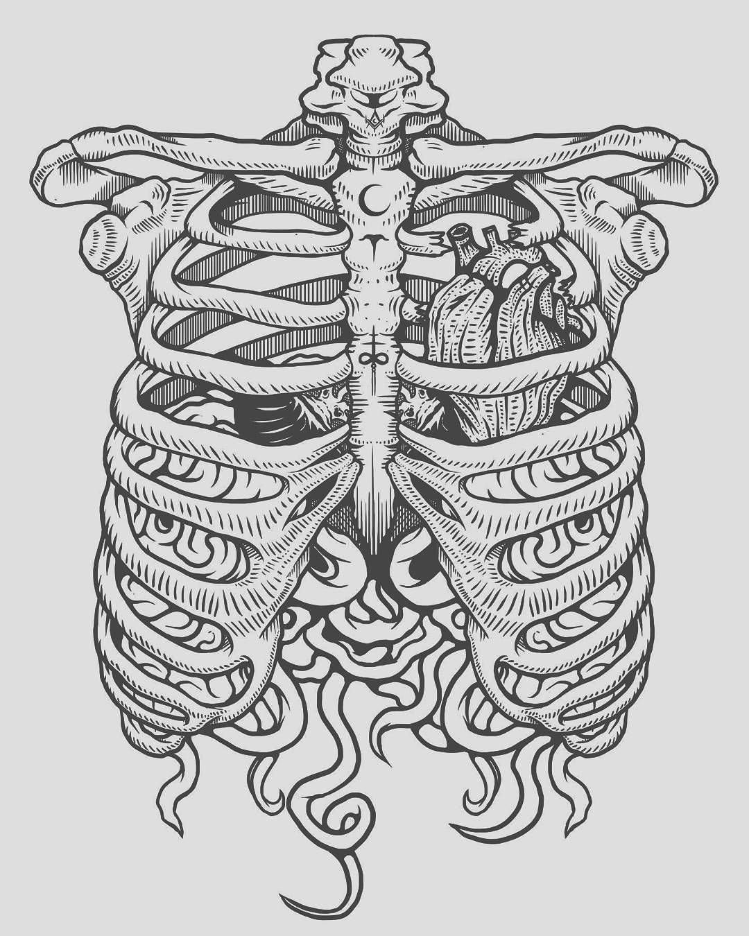 Скелет раскраска анатомия