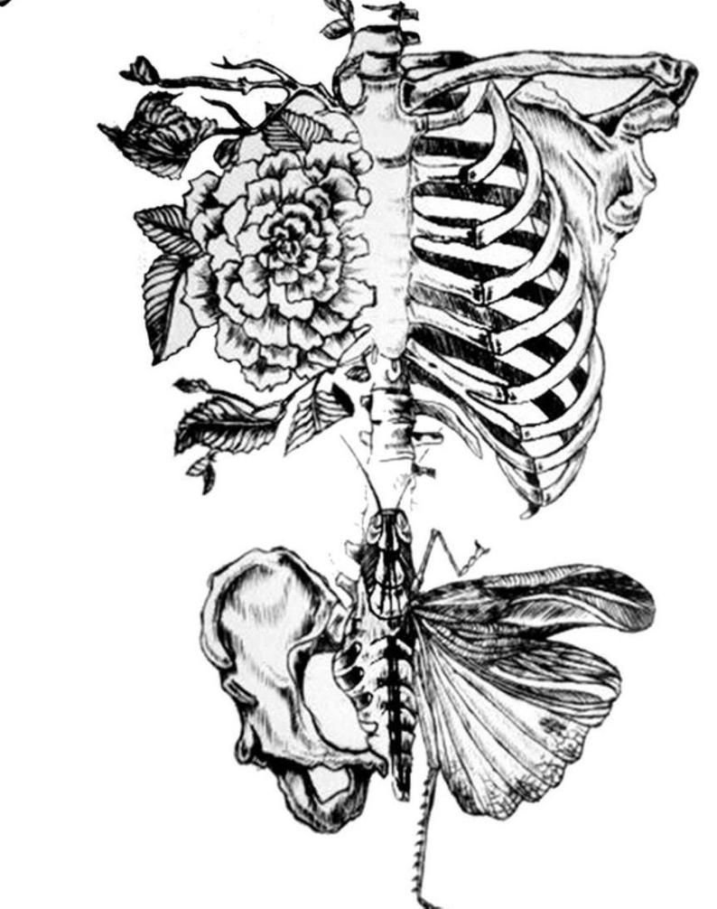 эскизы татуировок скелет