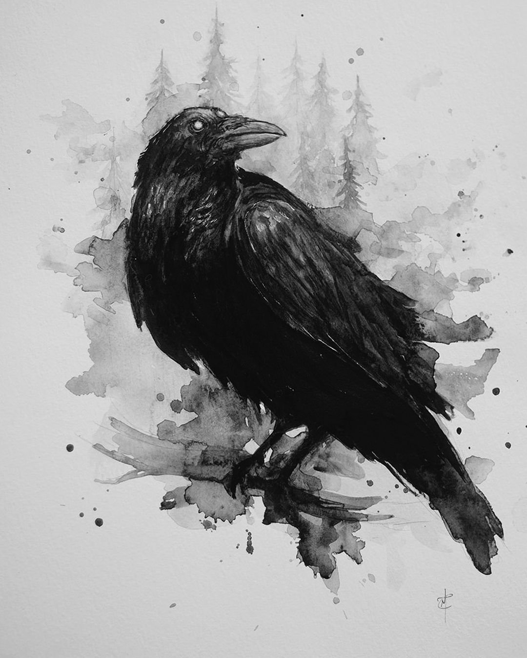 Ворона рисунок