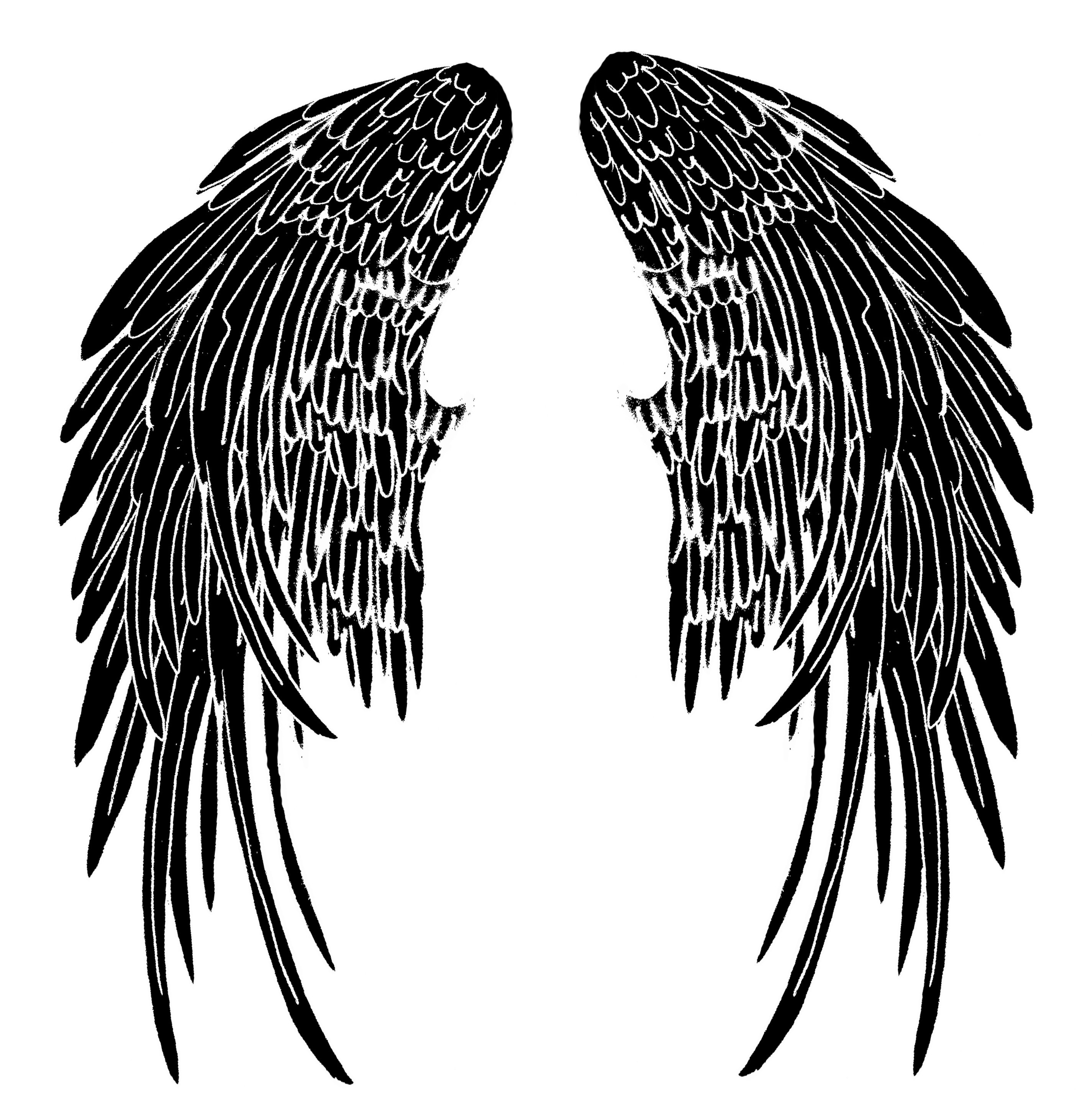 Крылья ангела Eskiz