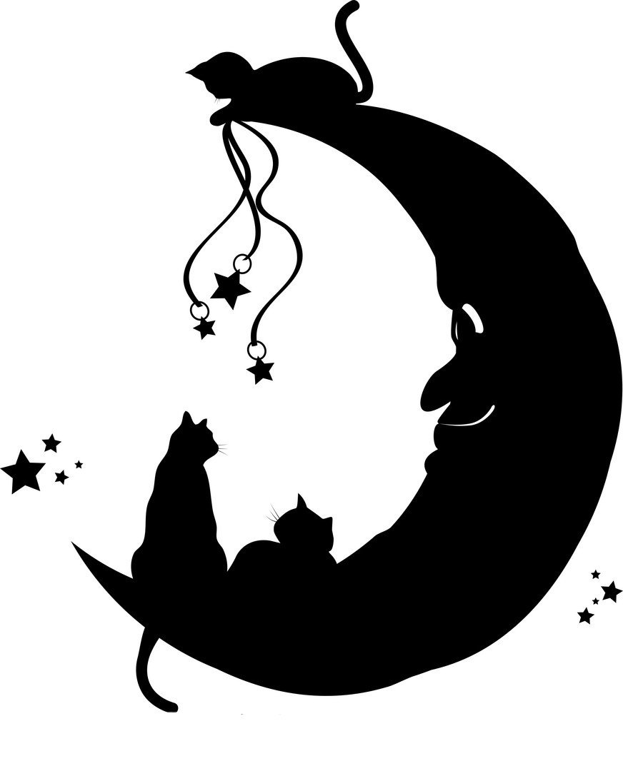 Черный кот Луны силуэт