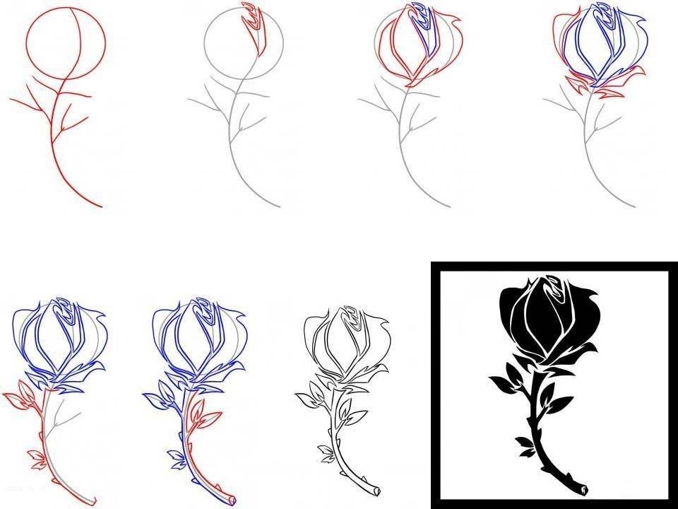 Легкий рисунок розы - 58 фото - смотреть онлайн