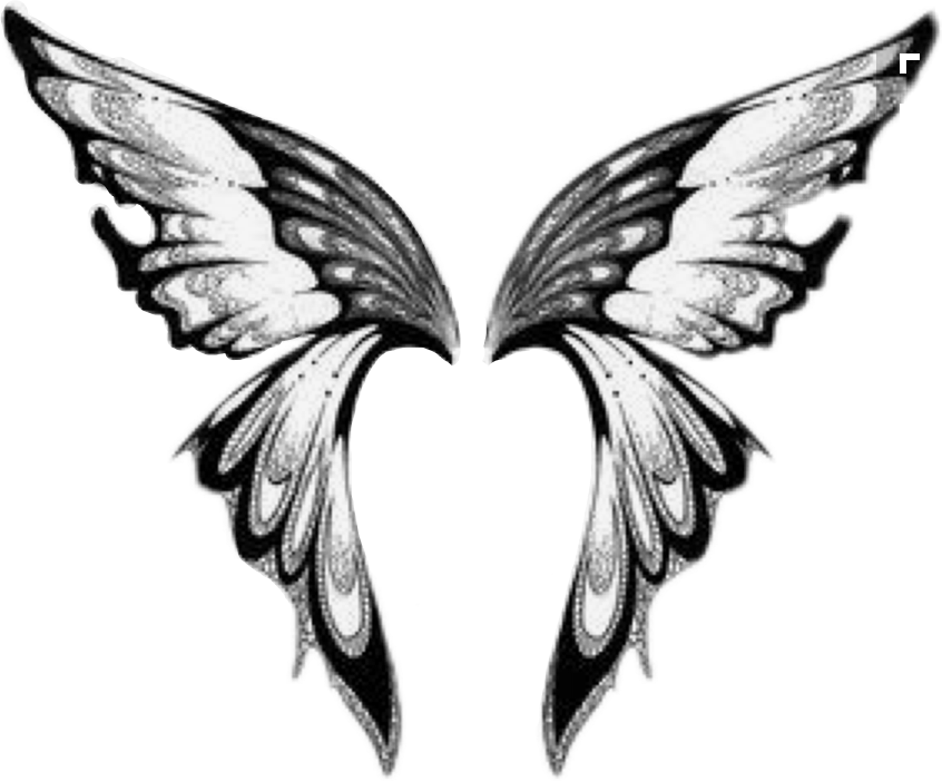 Простые крылья бабочки. Крылья тату эскиз. Бабочка эскиз. Татуировка бабочка эскиз. Тату крылышки.