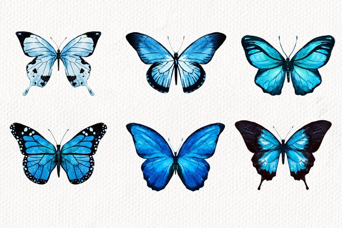 Бабочки цветные маленькие