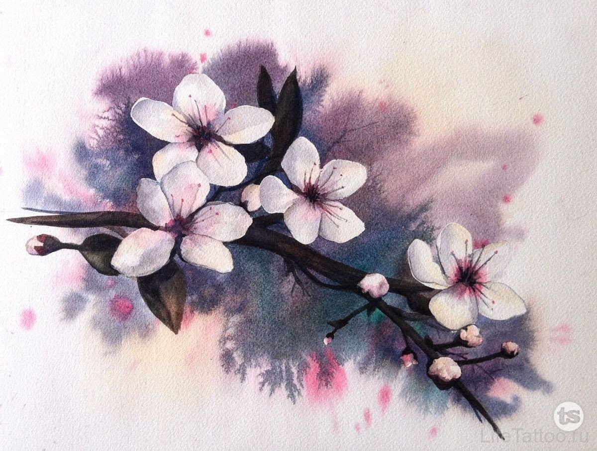 Нарисовать цветы сакуры