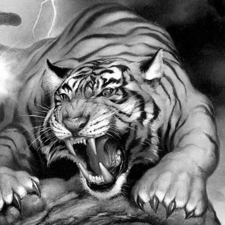 Саблезубый тигр оскал