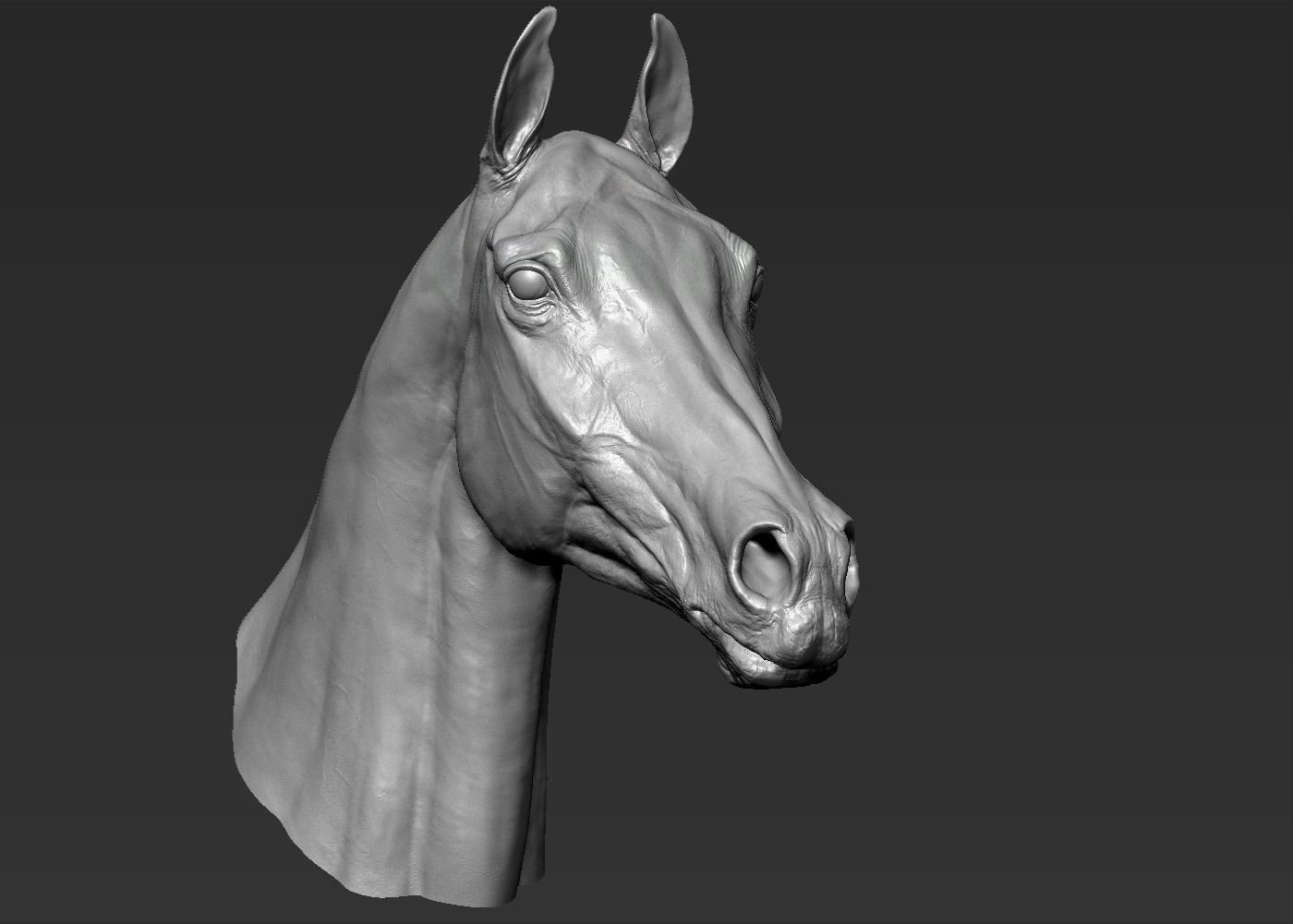 3д модель головы лошади