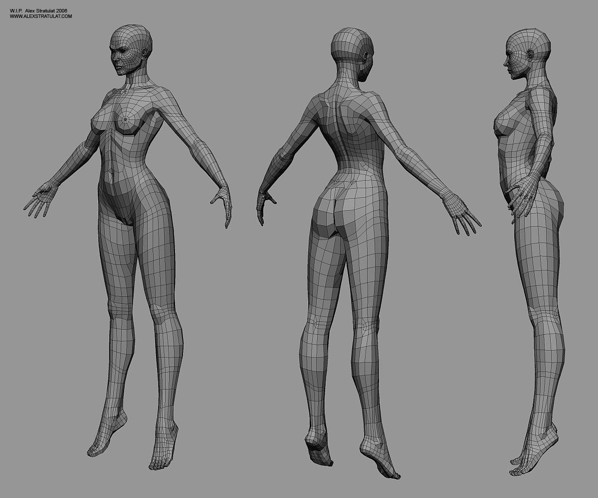 Анатомия женского тела для 3д моделирования