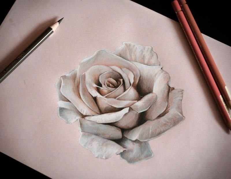 Как нарисовать цветы реалистично - 81 фото