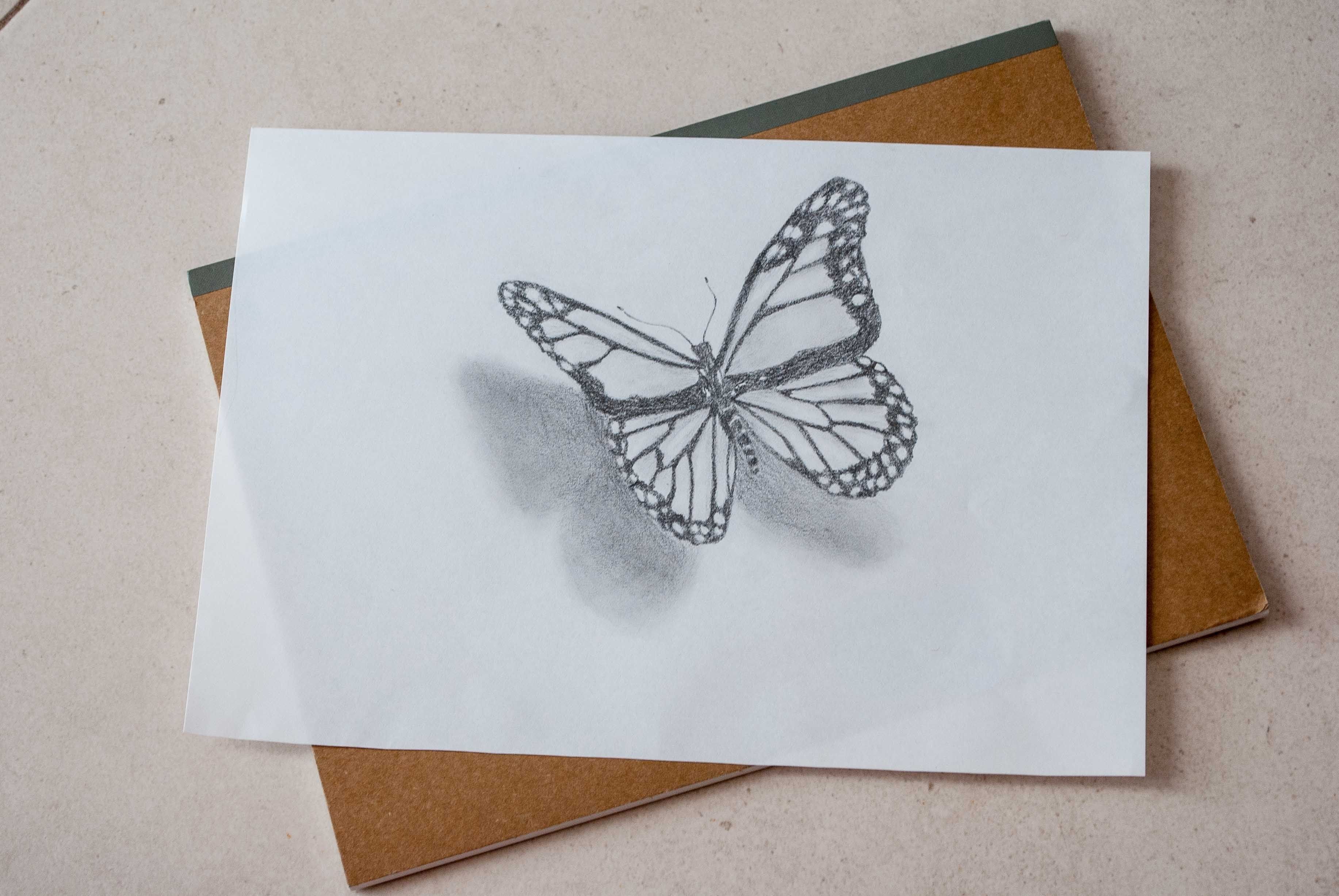 Выполнить на бумаге. Рисование бабочки. Объемные рисунки. Бабочка карандашом. Необычные рисунки карандашом.