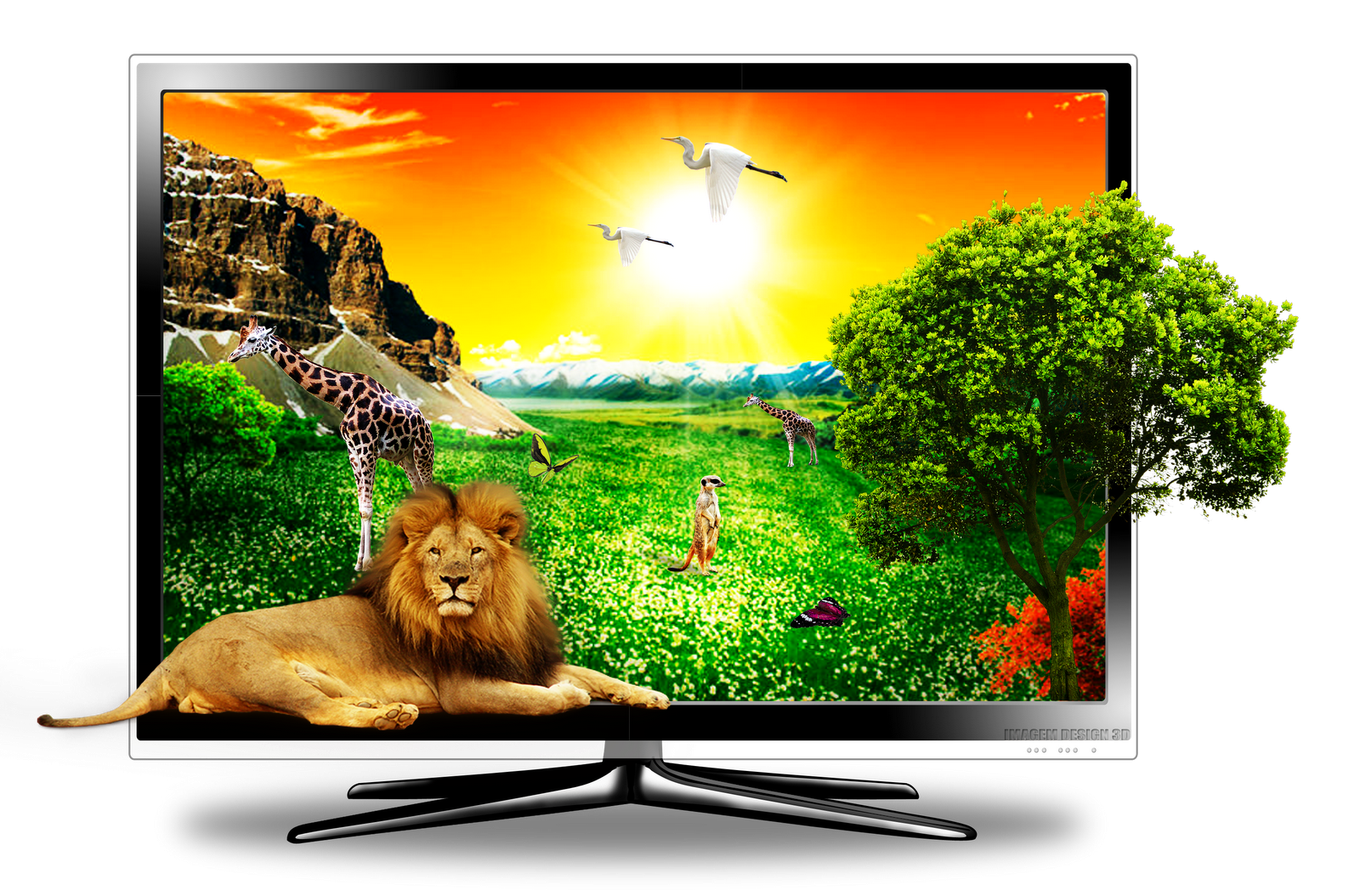 Т д тв. Телевизор. Реклама телевизора LG. 3д телевизор. Телевизор картинка.