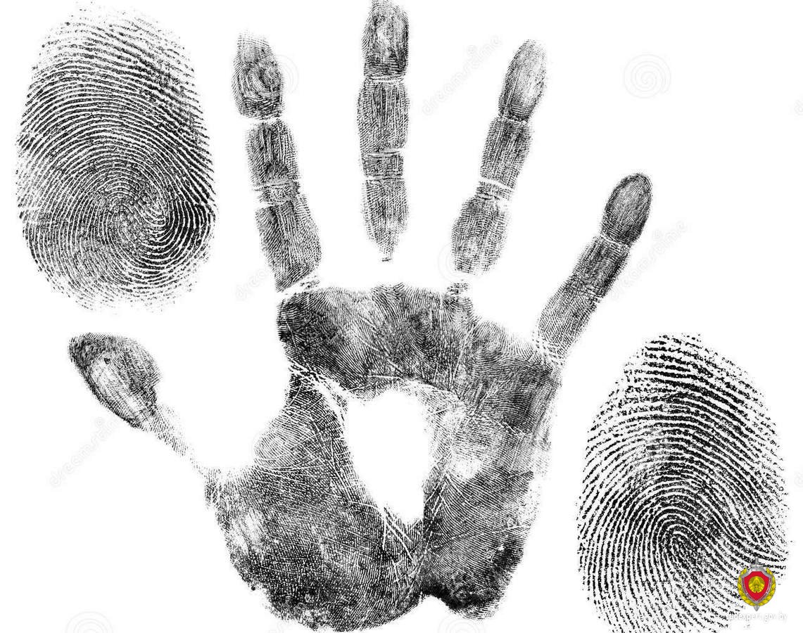 Отпечатки пальцев рук криминалистика