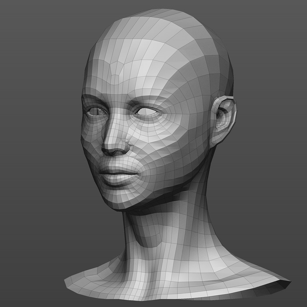 Зд лица. Обрубовка в Zbrush. 3д обрубовка лица. Голова человека женская. Модель головы.