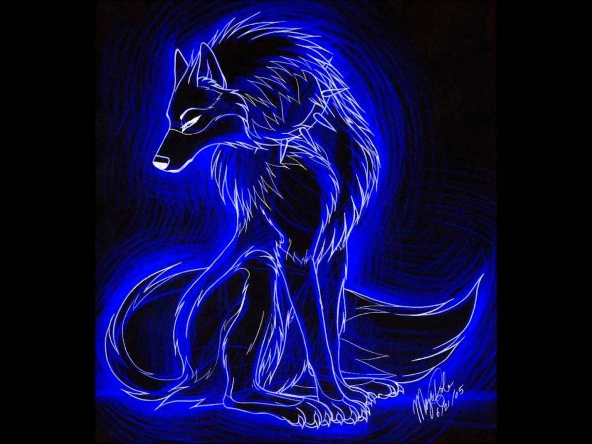 Черный волк рисунок арт