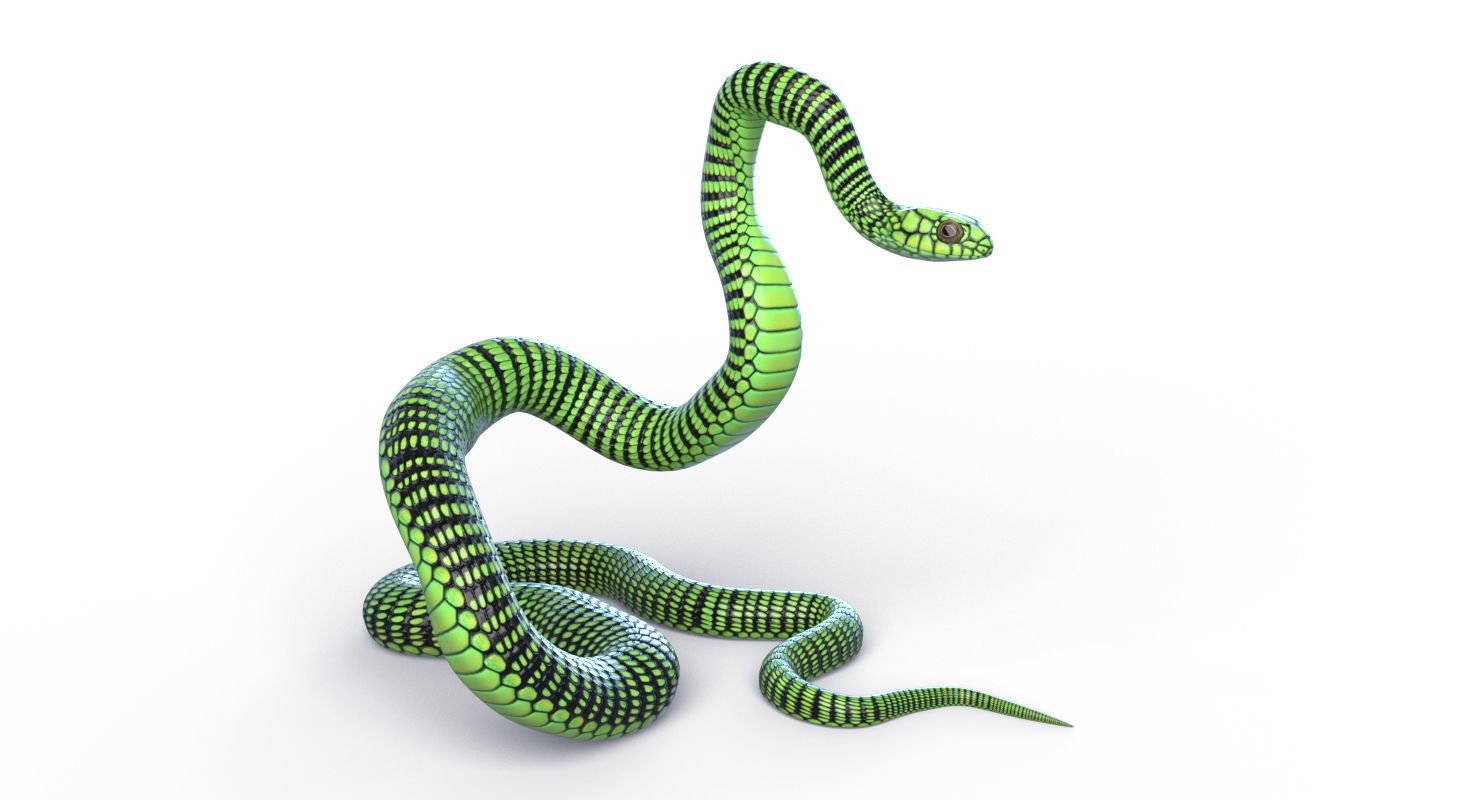 Змея 3д модель