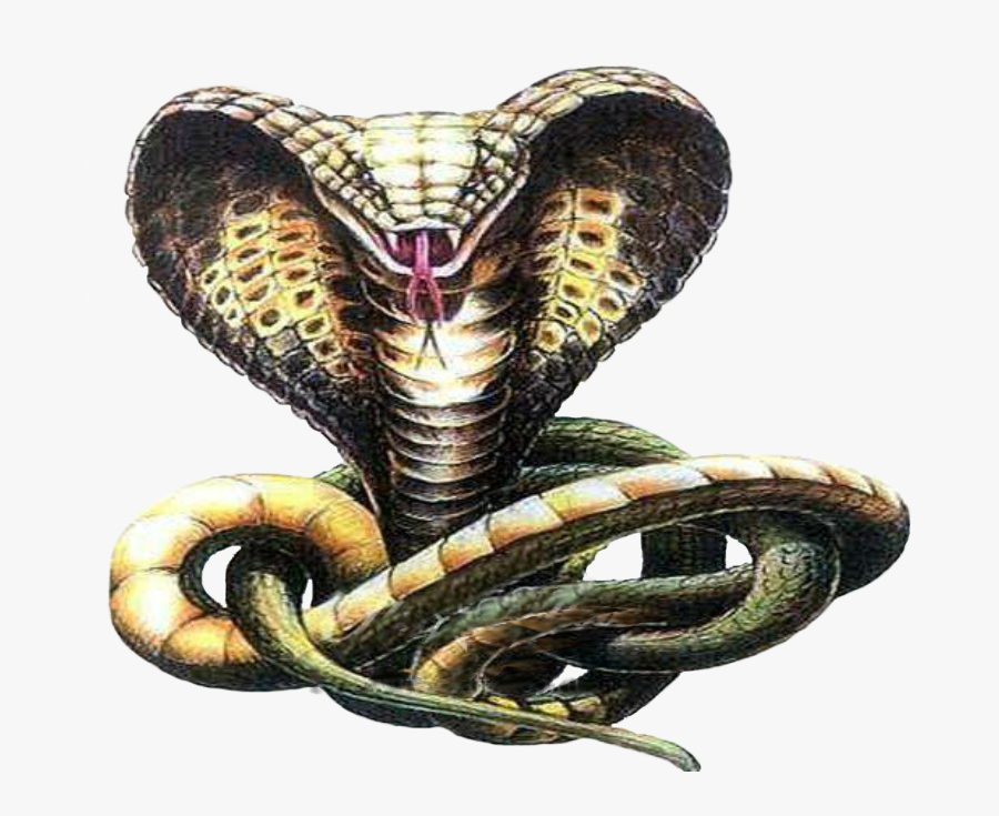 Змея 2 д. Королевская Кобра Нагайна. Королевская Кобра змея тату. Кобра Анаконда Гюрза гадюка. Пресмыкающиеся змеи Кобра Королевская.