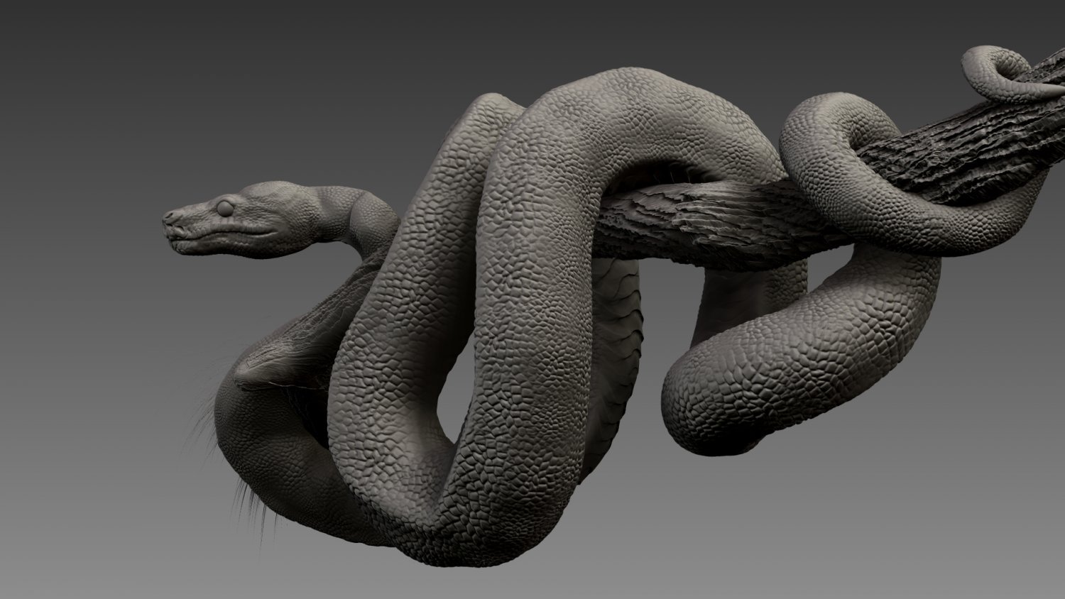Змея 3д модель