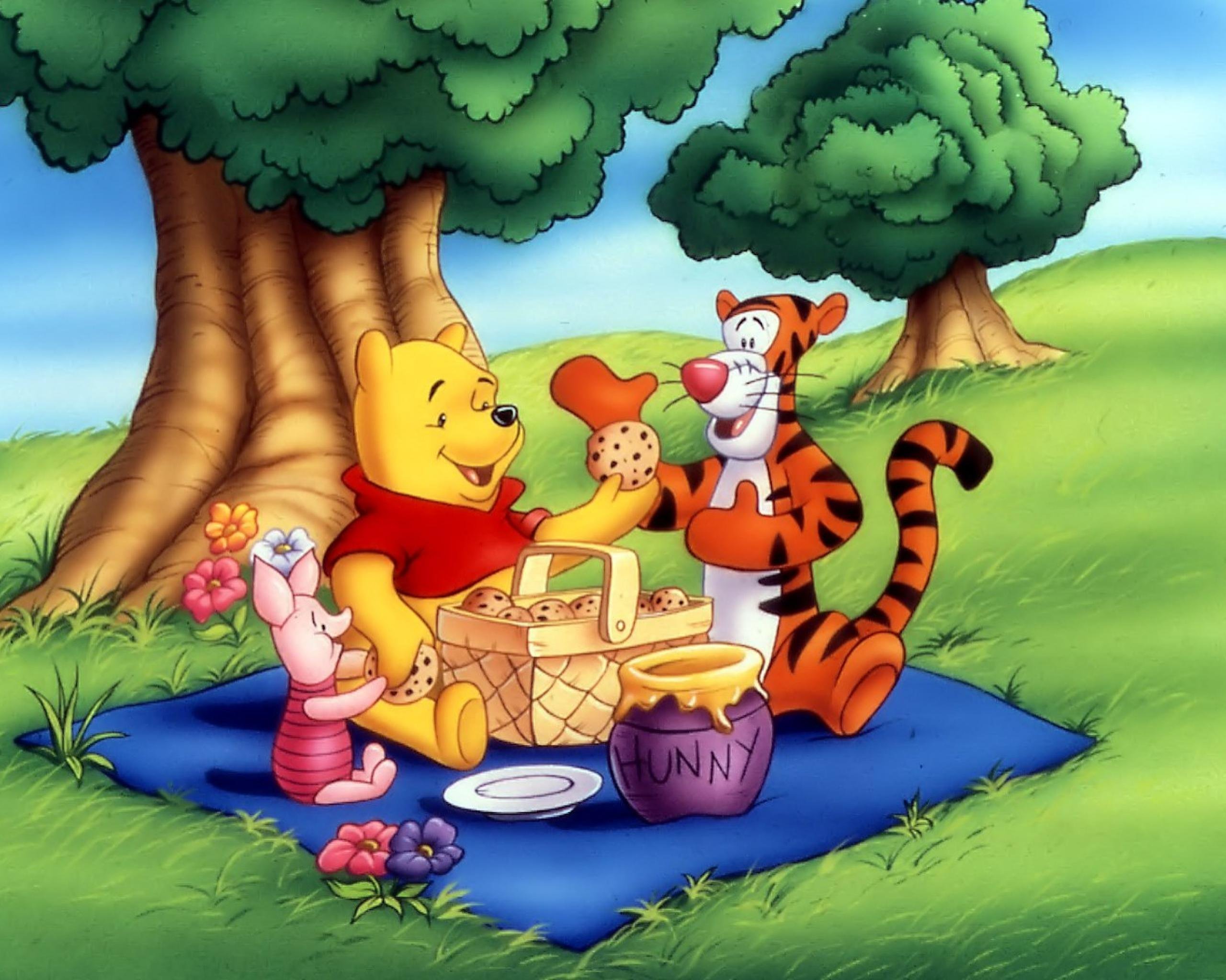 Приключения Винни пуха (the many Adventures of Winnie the Pooh)