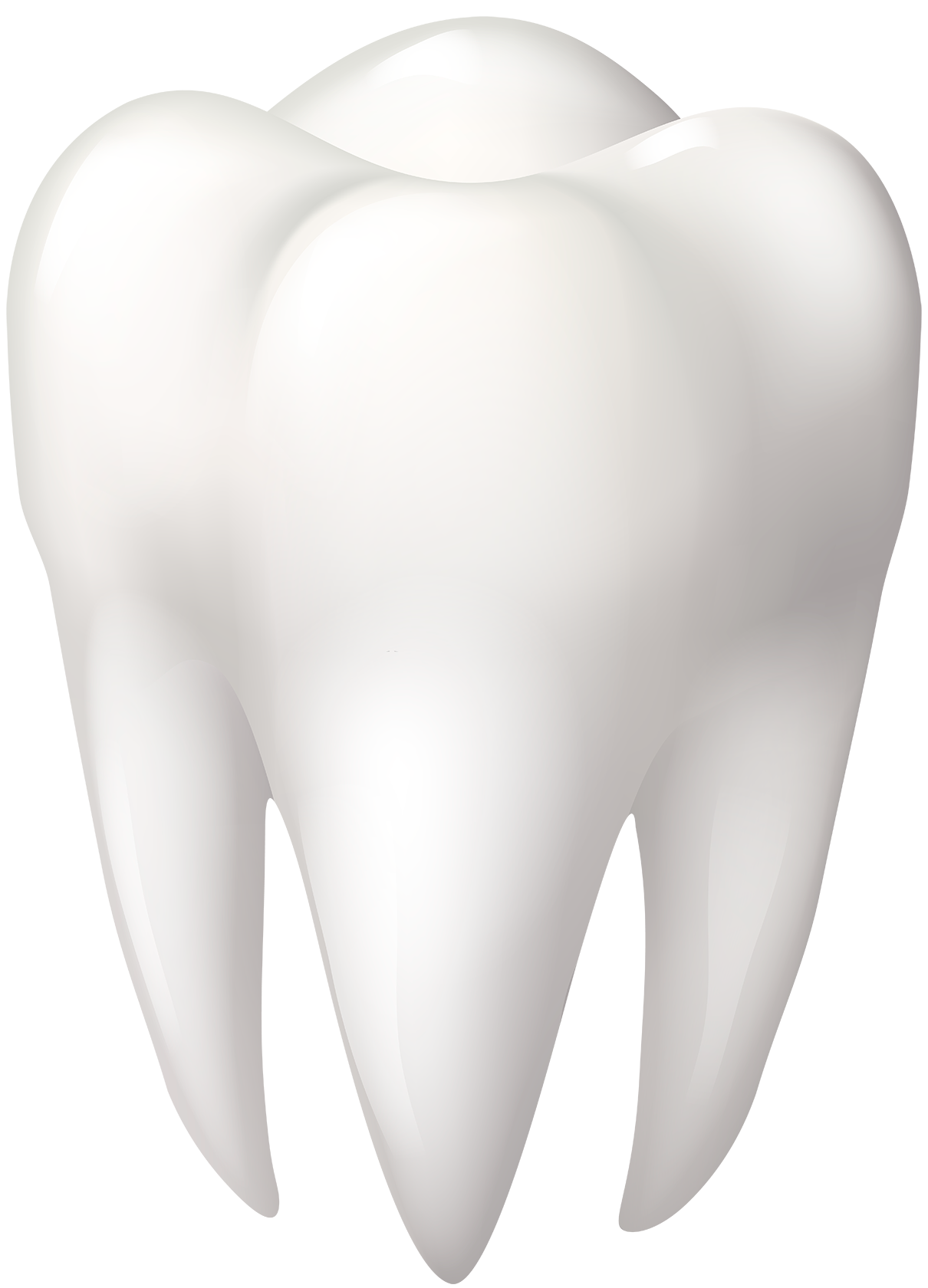 Закаленный зуб. Зуб. Здоровые зубы. Белые зубы. Объемный зуб.