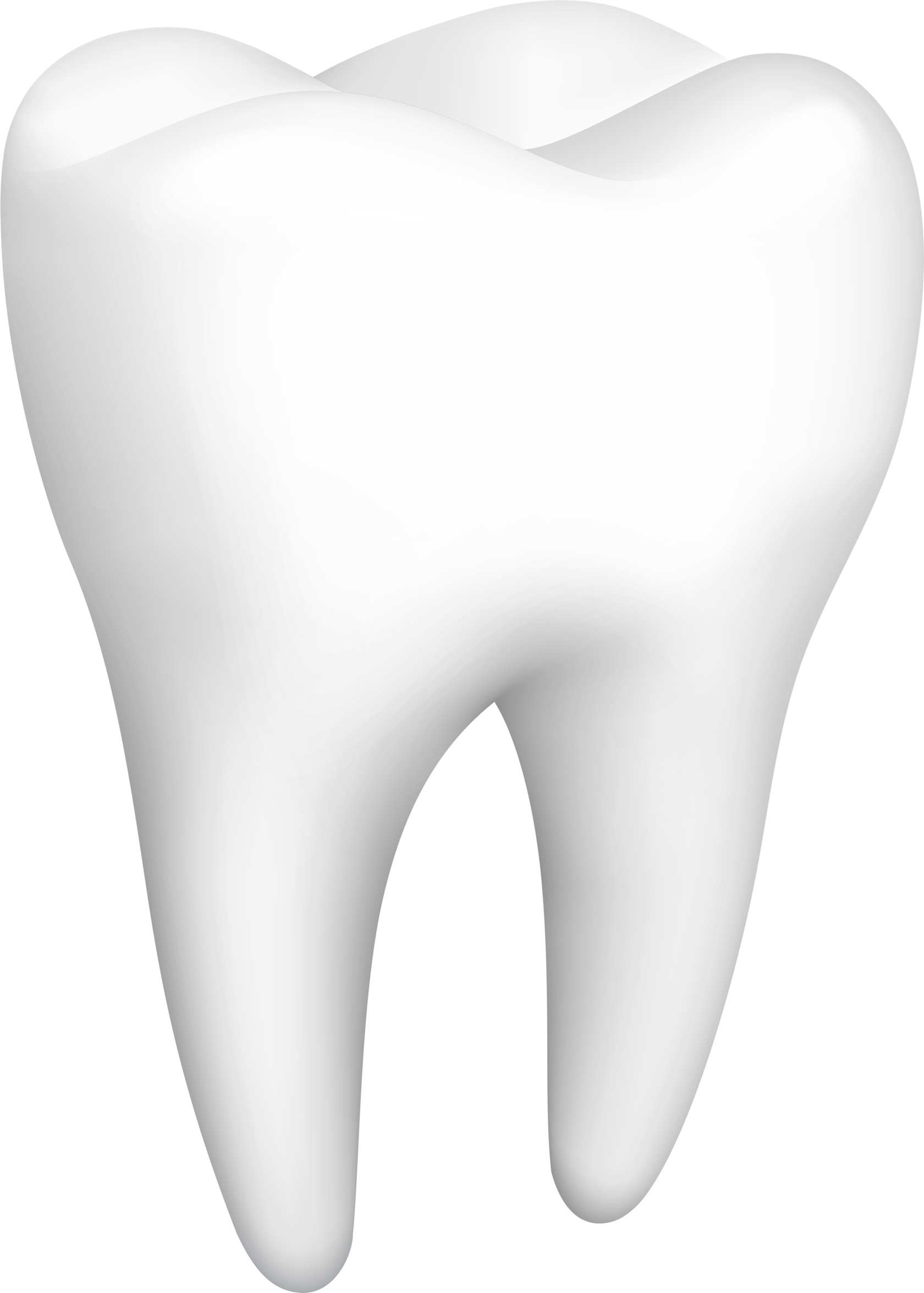 Картинка зуба. Зуб. Здоровые зубы. Белые зубы. Зуб вектор.