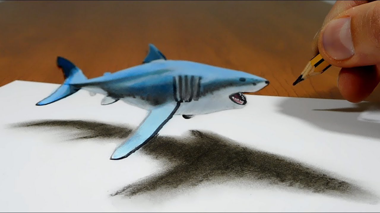 Rekin 3d. Акула 3д рисунок. Зд рисунки. 3d рисунок акула. Акула маркерами.