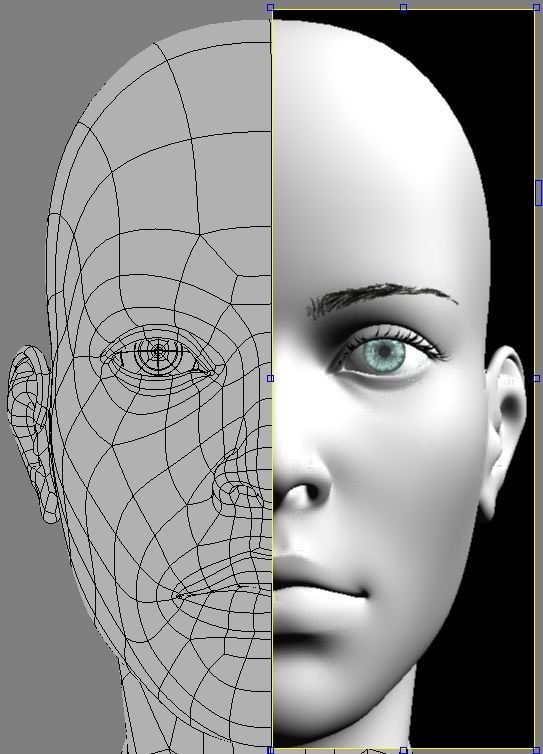 Зд лица. Моделирование лица. 3д моделирование. Модель головы для рисования. Полигональная сетка лица.