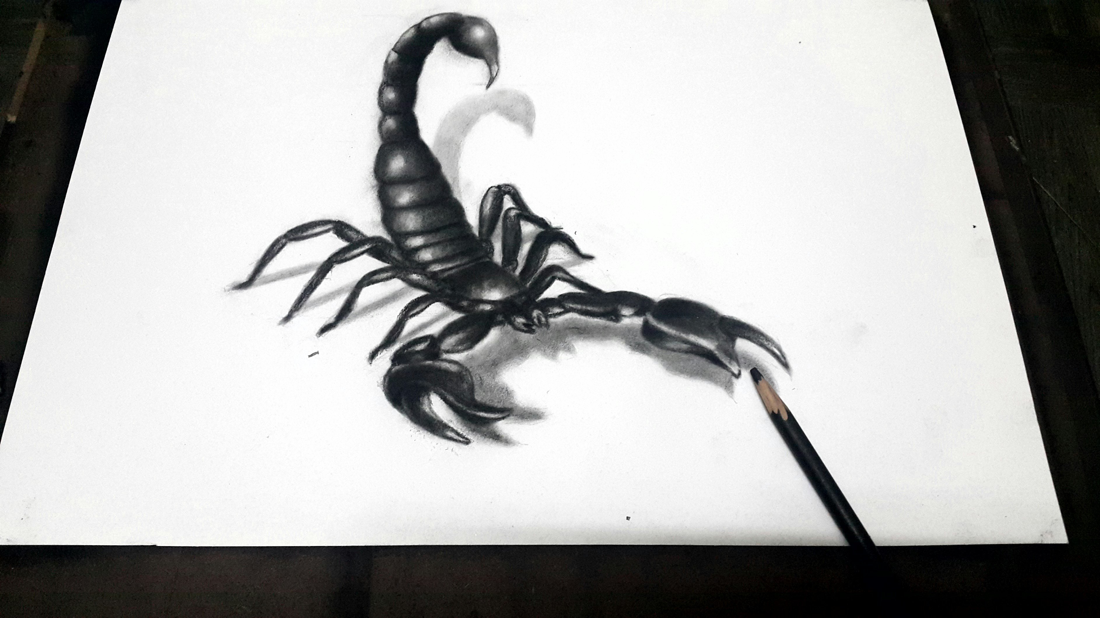 Скорпион карандашом