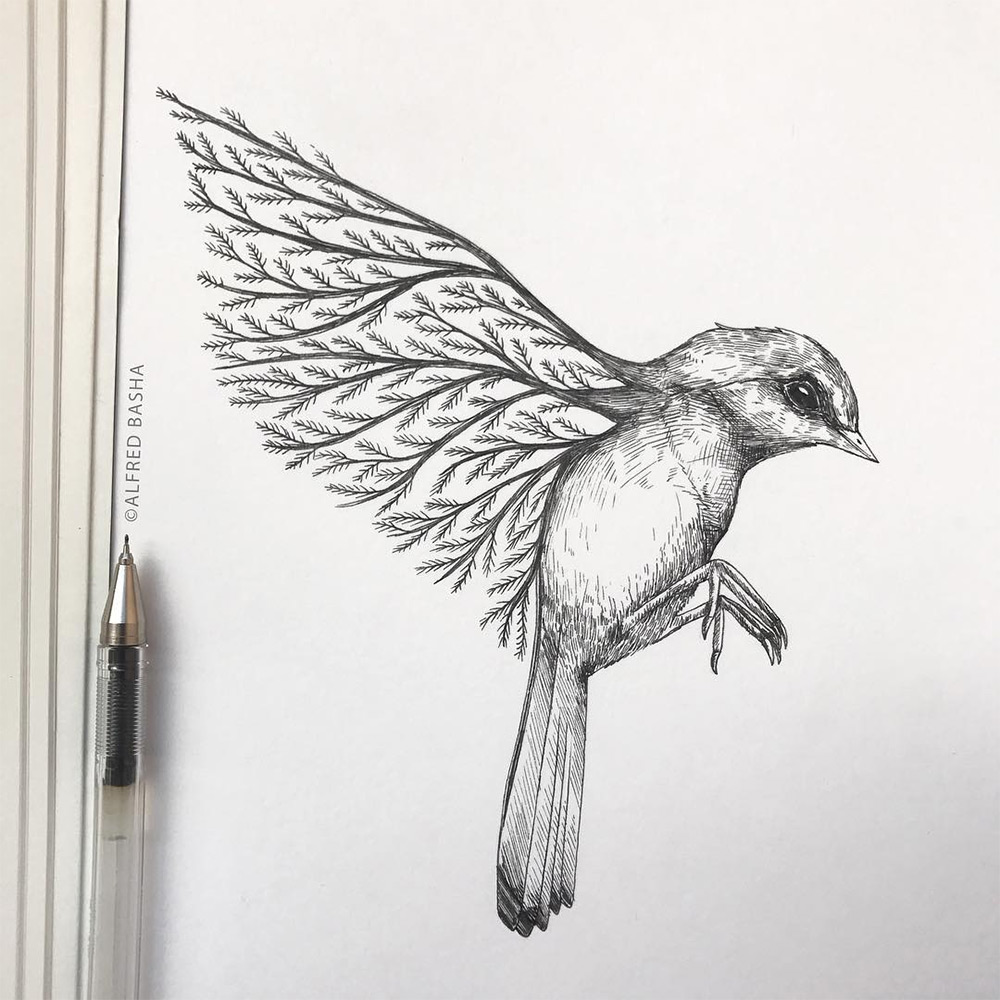 Очень легкая птица. Птица карандашом. Птицы для срисовки. Картинки птиц для срисовки.